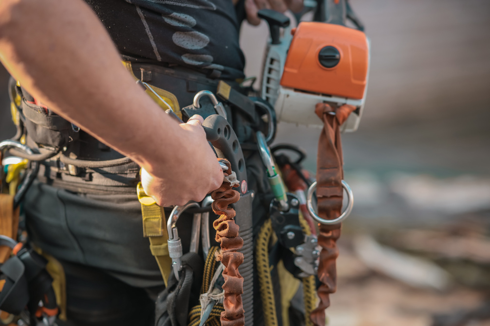 Different safety equipment for arborist or arborists such as ropes, anchors, straps and so on. Detail of arborist equipment.